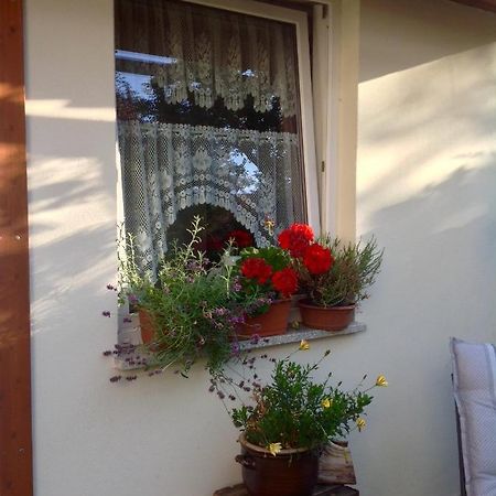 Ferienwohnung Am Mathildenbrunnen klein Quedlinburg Exterior foto