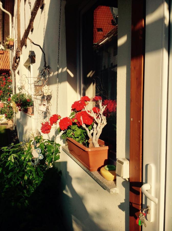 Ferienwohnung Am Mathildenbrunnen klein Quedlinburg Exterior foto