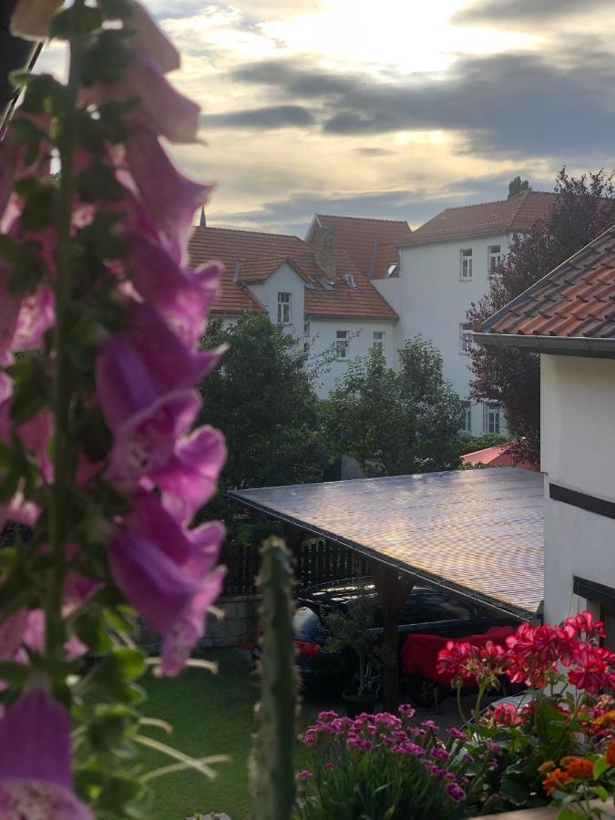 Ferienwohnung Am Mathildenbrunnen klein Quedlinburg Exterior foto